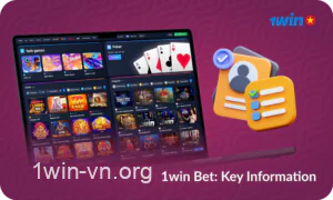 1win galvenā informācija